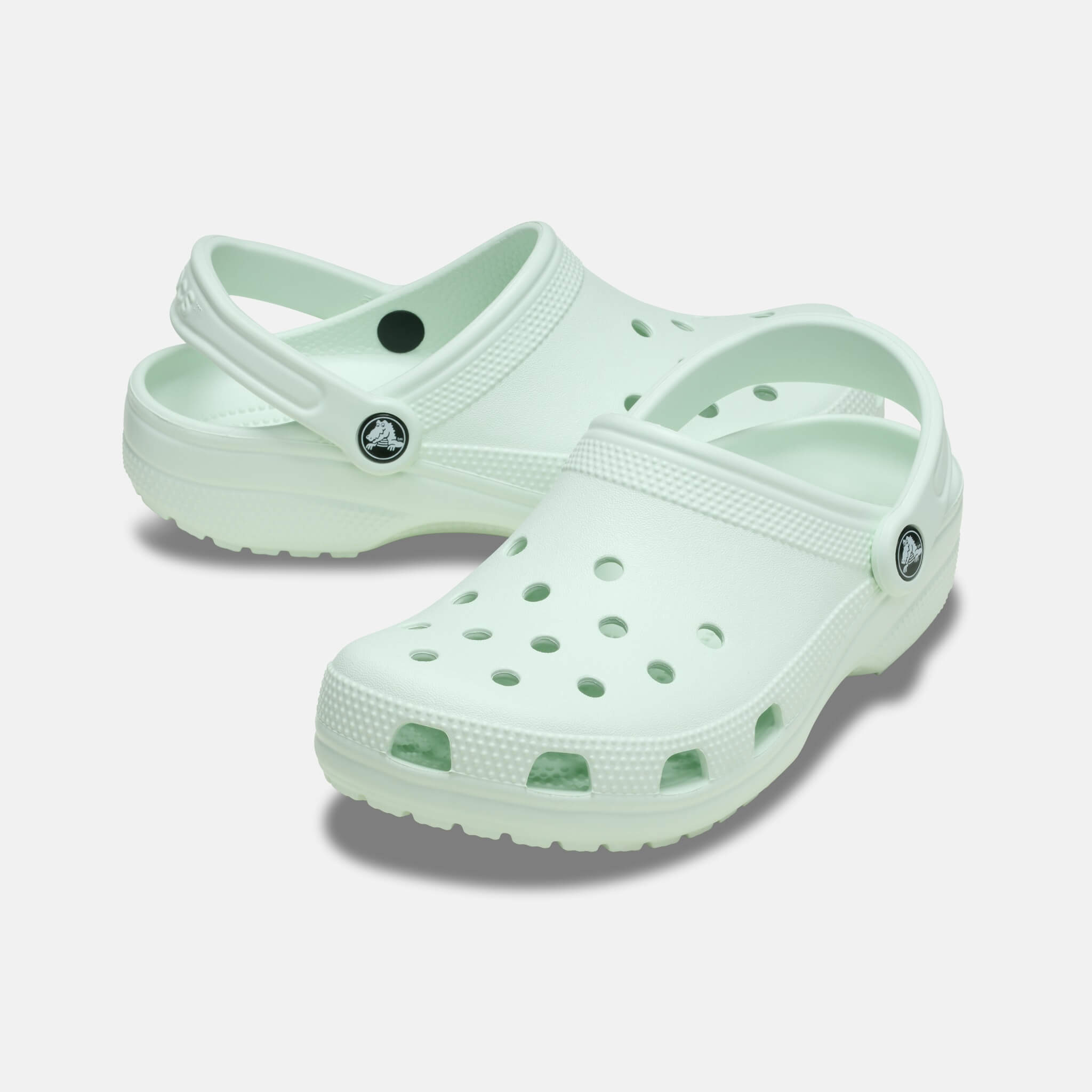 Classic Mint Tint