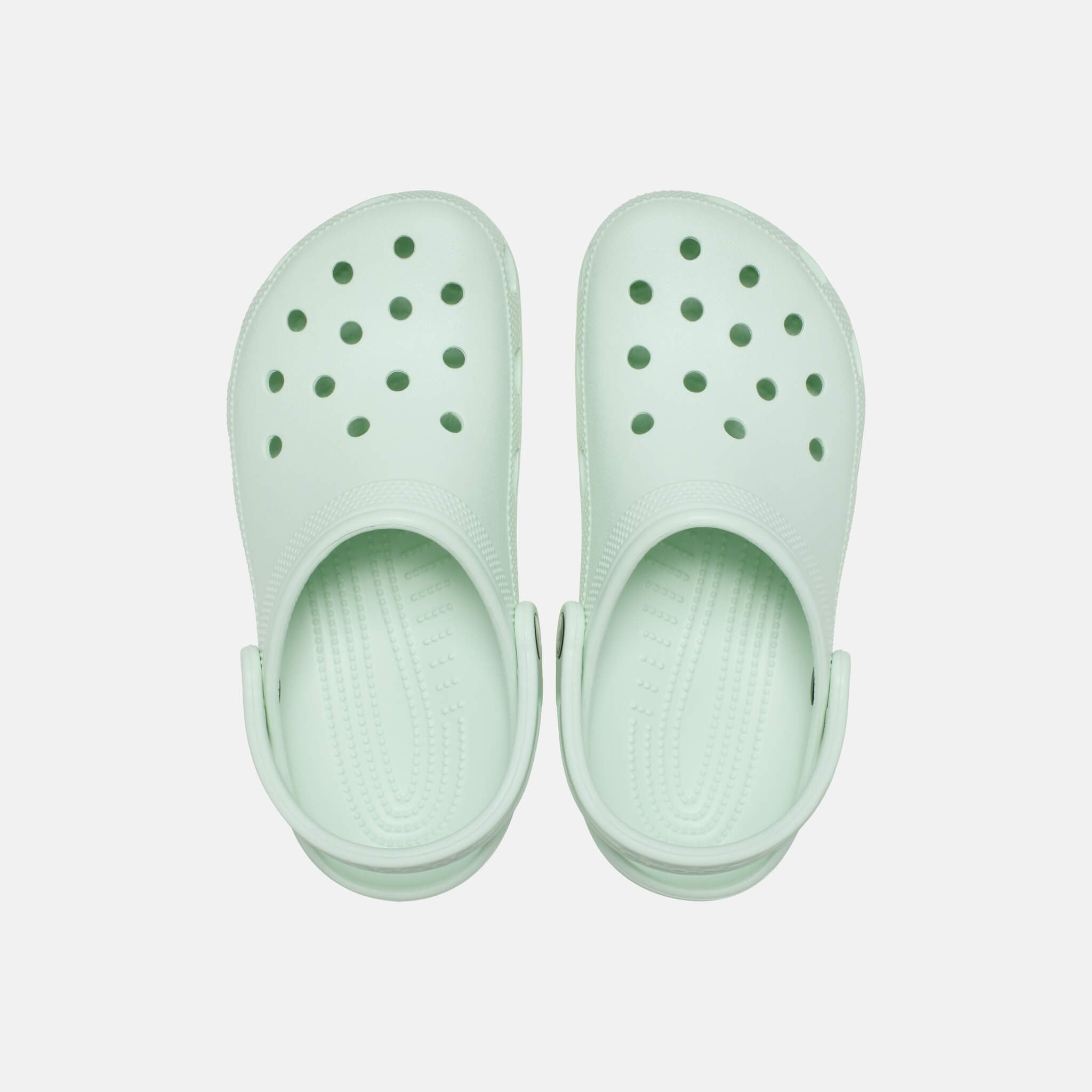 Classic Mint Tint