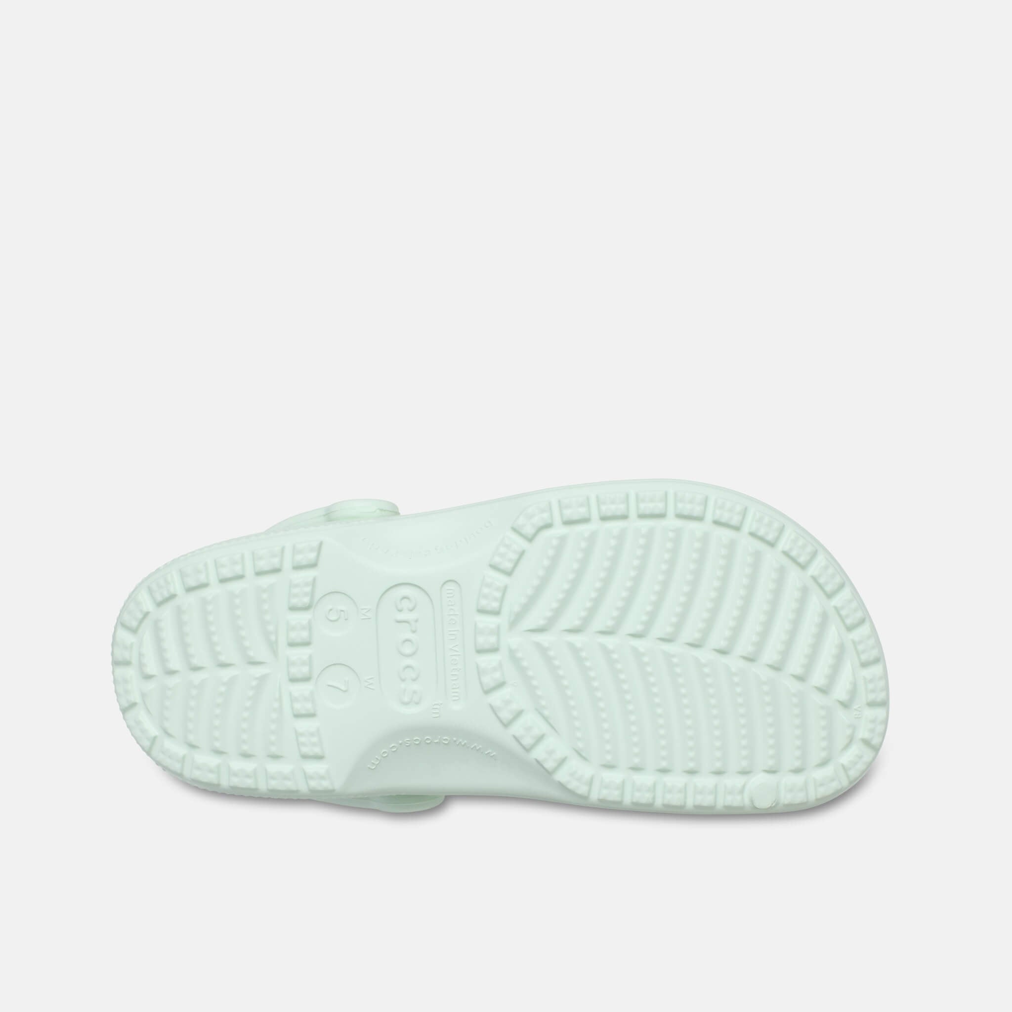 Classic Mint Tint
