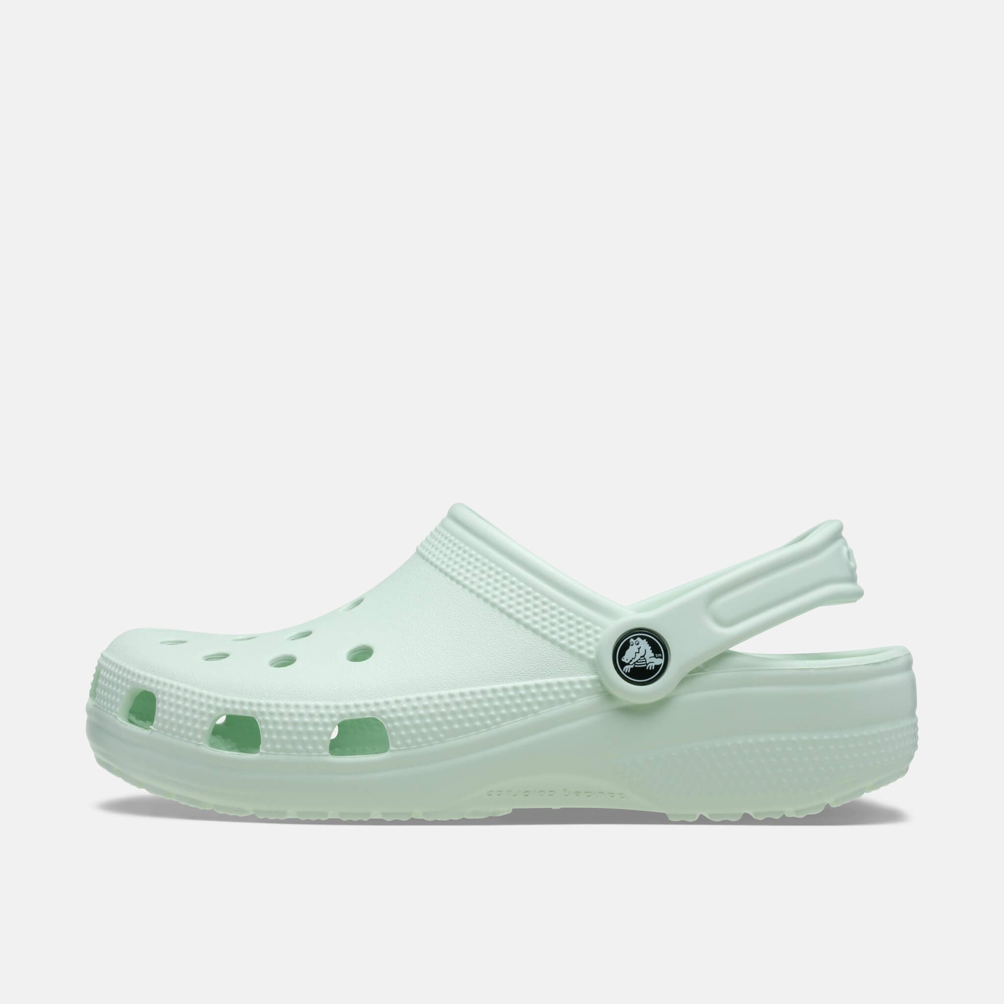 Classic Mint Tint