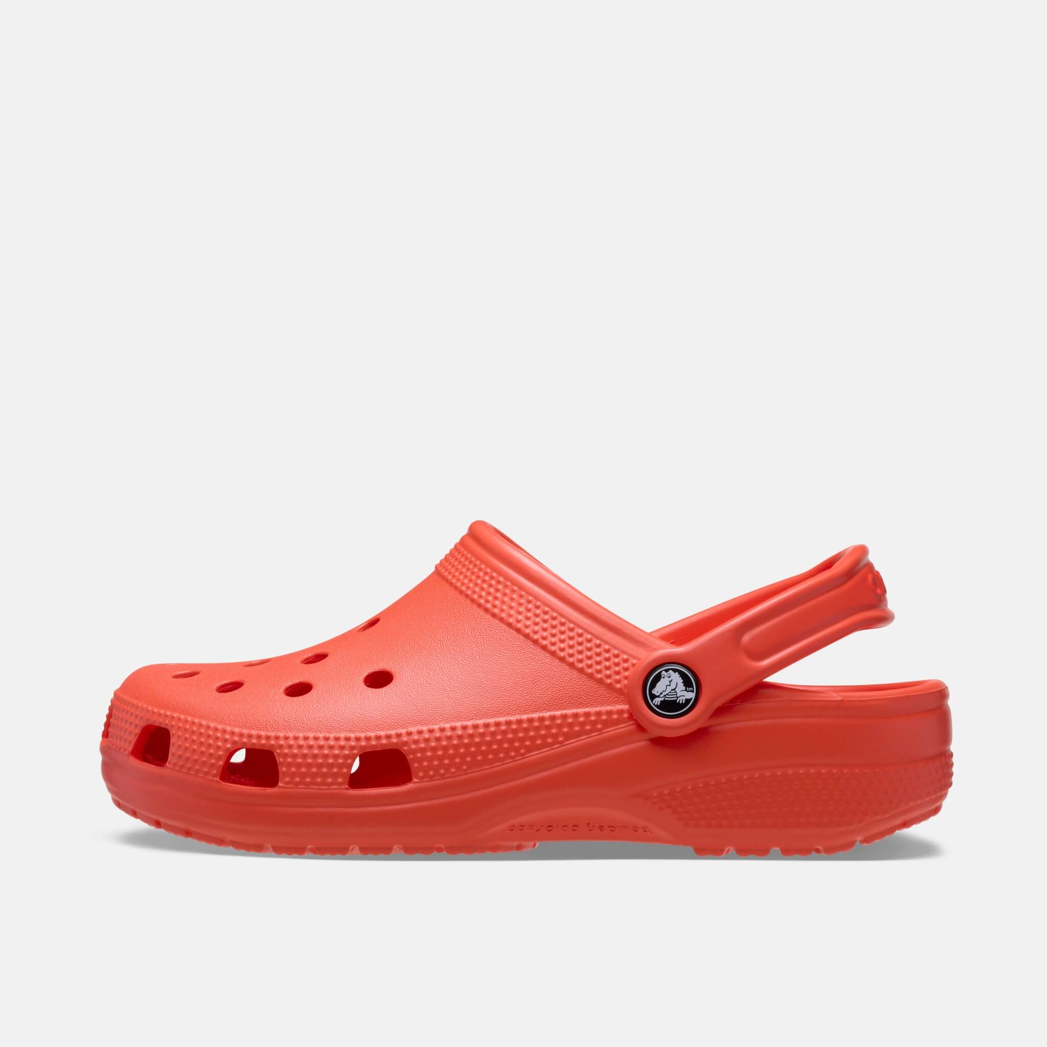Classic Starfish