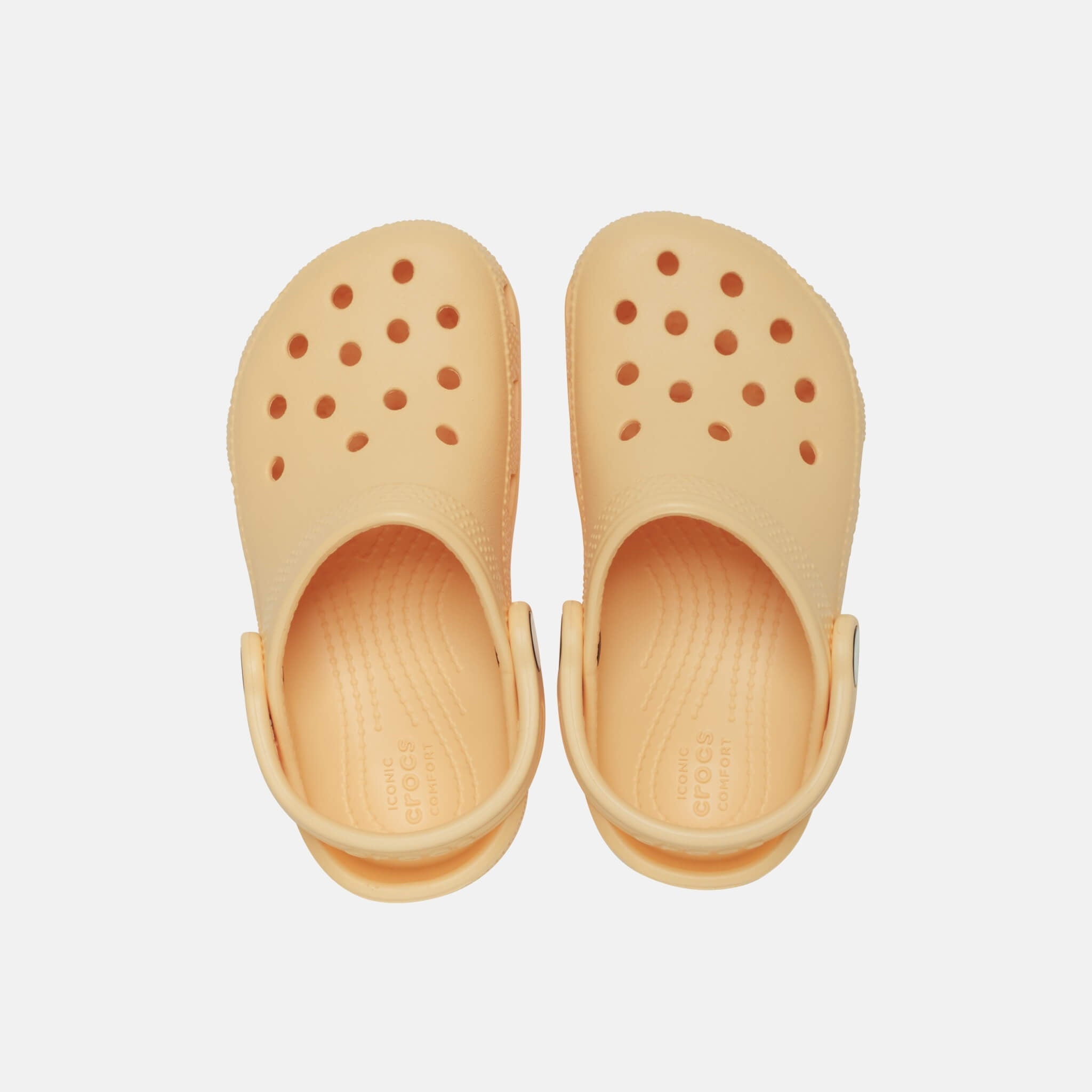 Classic Clog T Golden Hour