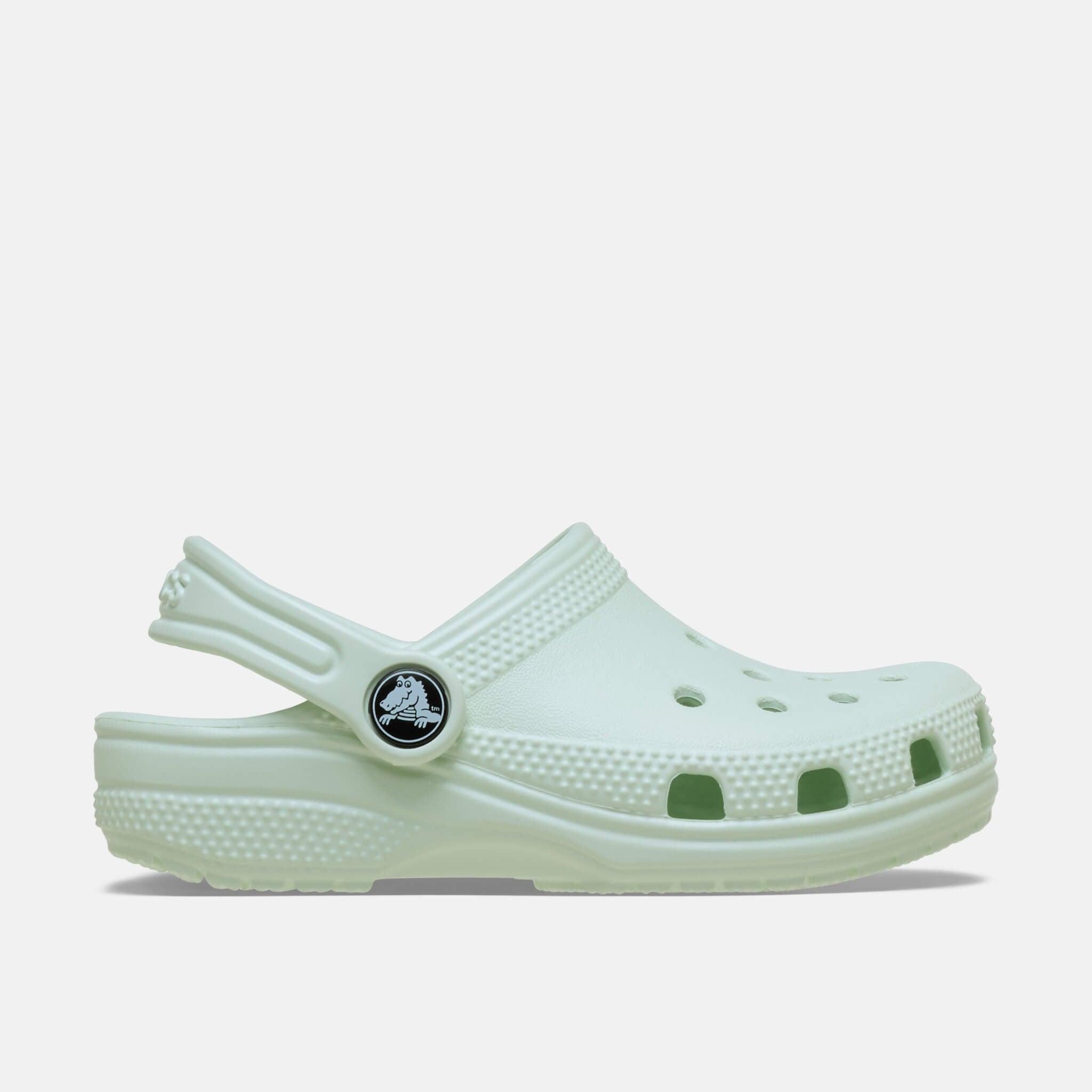 Classic Clog T Mint Tint