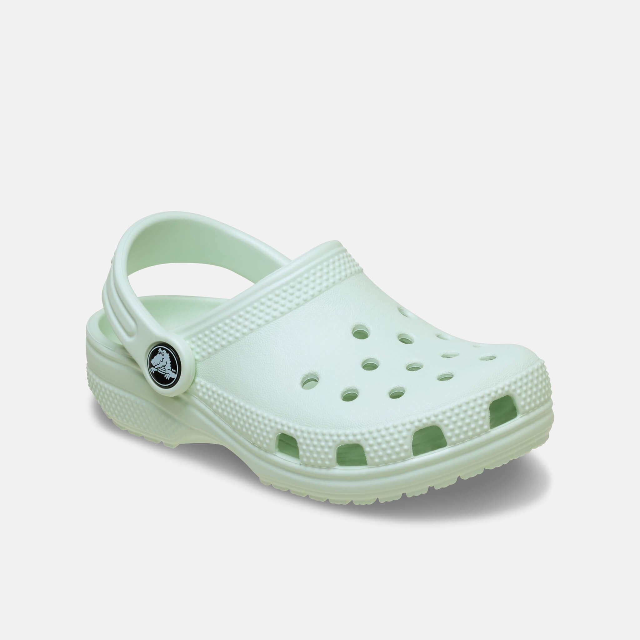 Classic Clog T Mint Tint