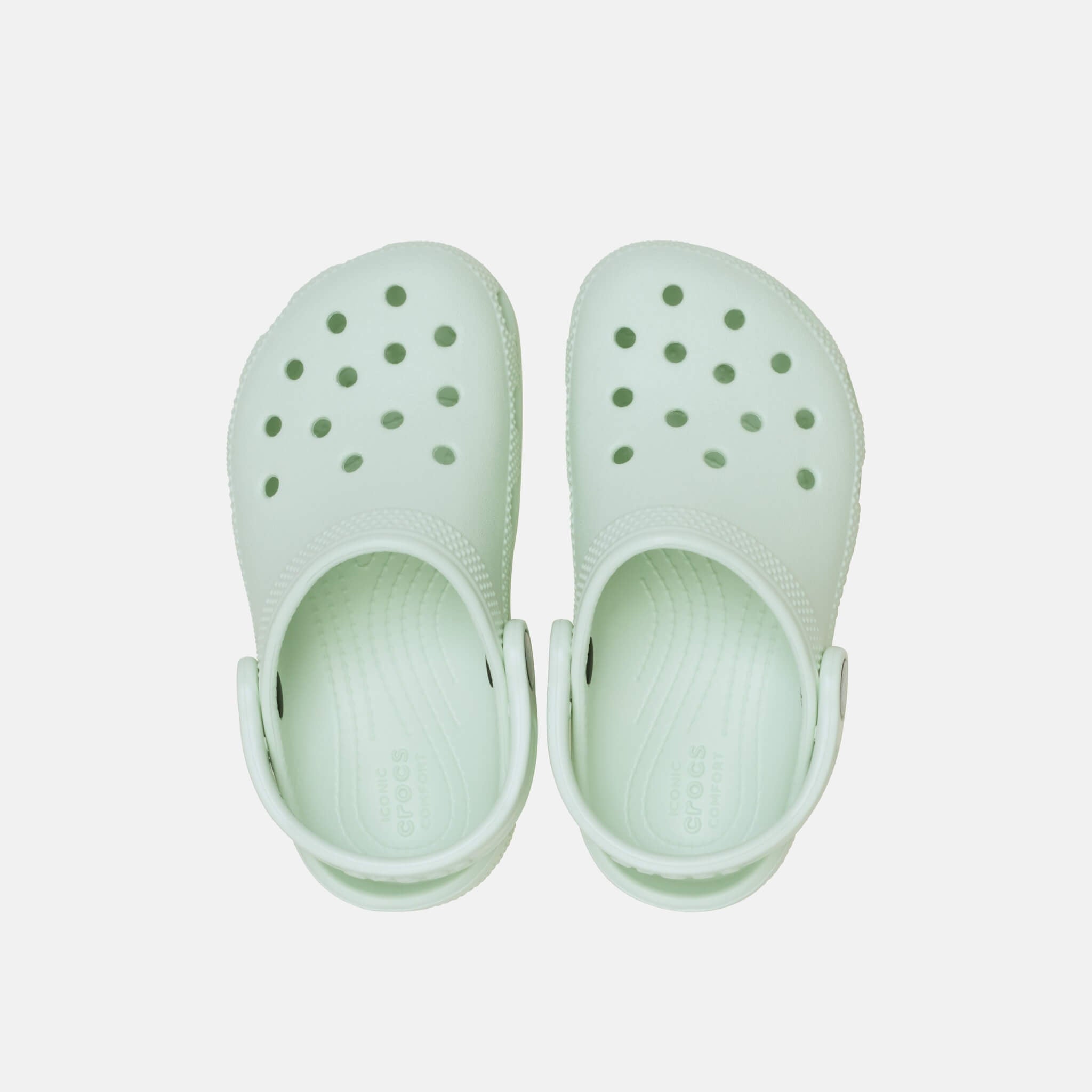 Classic Clog T Mint Tint