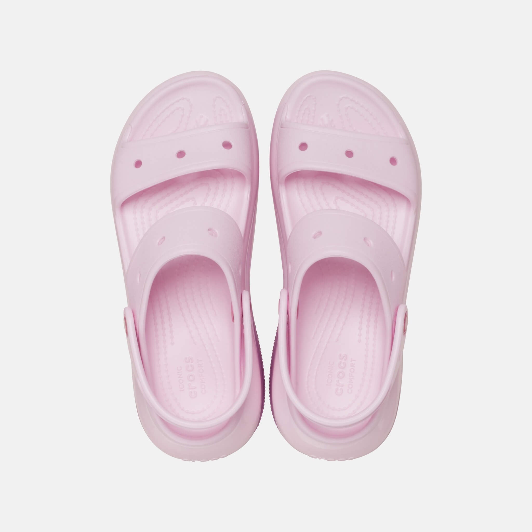 Mega Crush Sandal Hydrangea