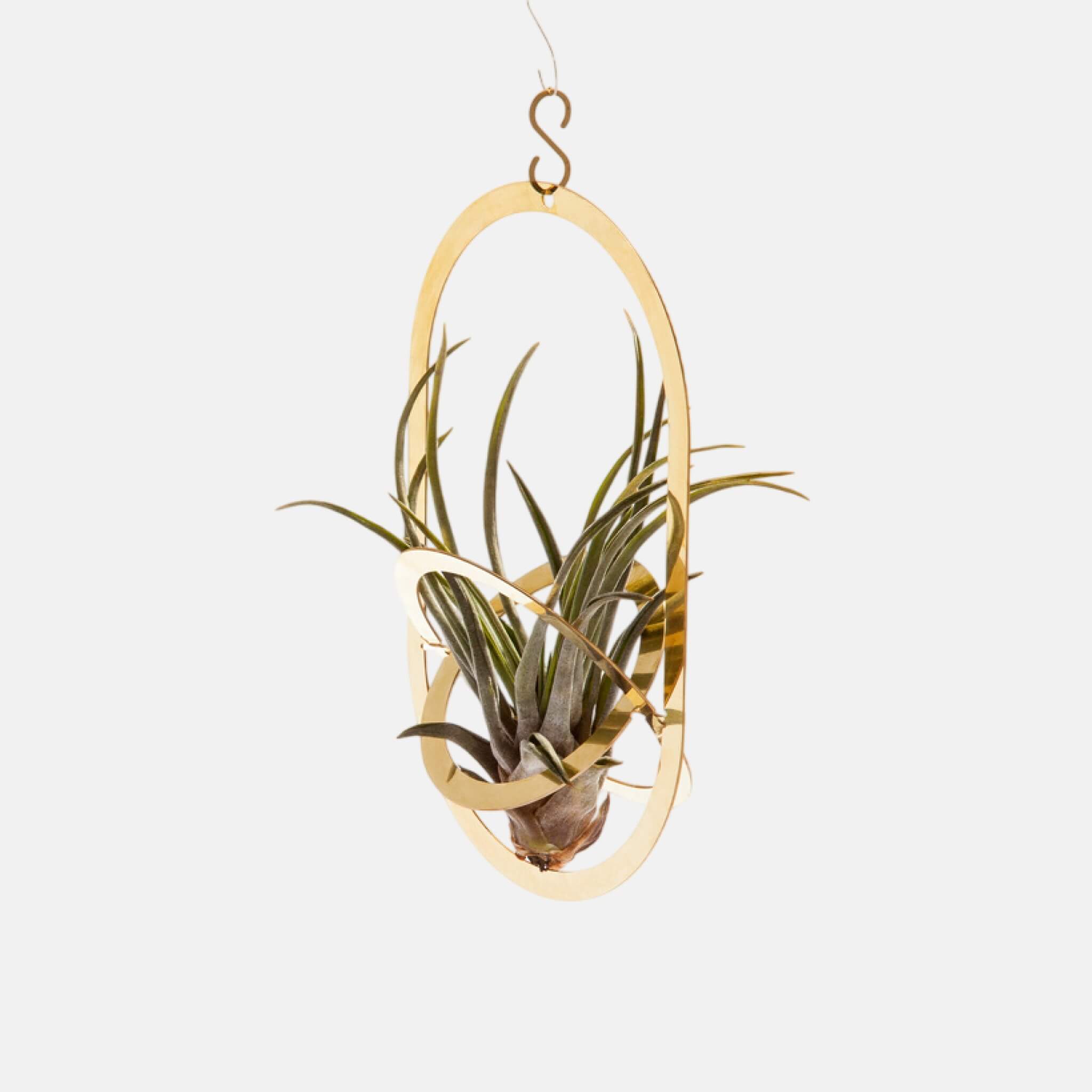 Fundamental Berlin Air Pendant Hanging Plant Stand