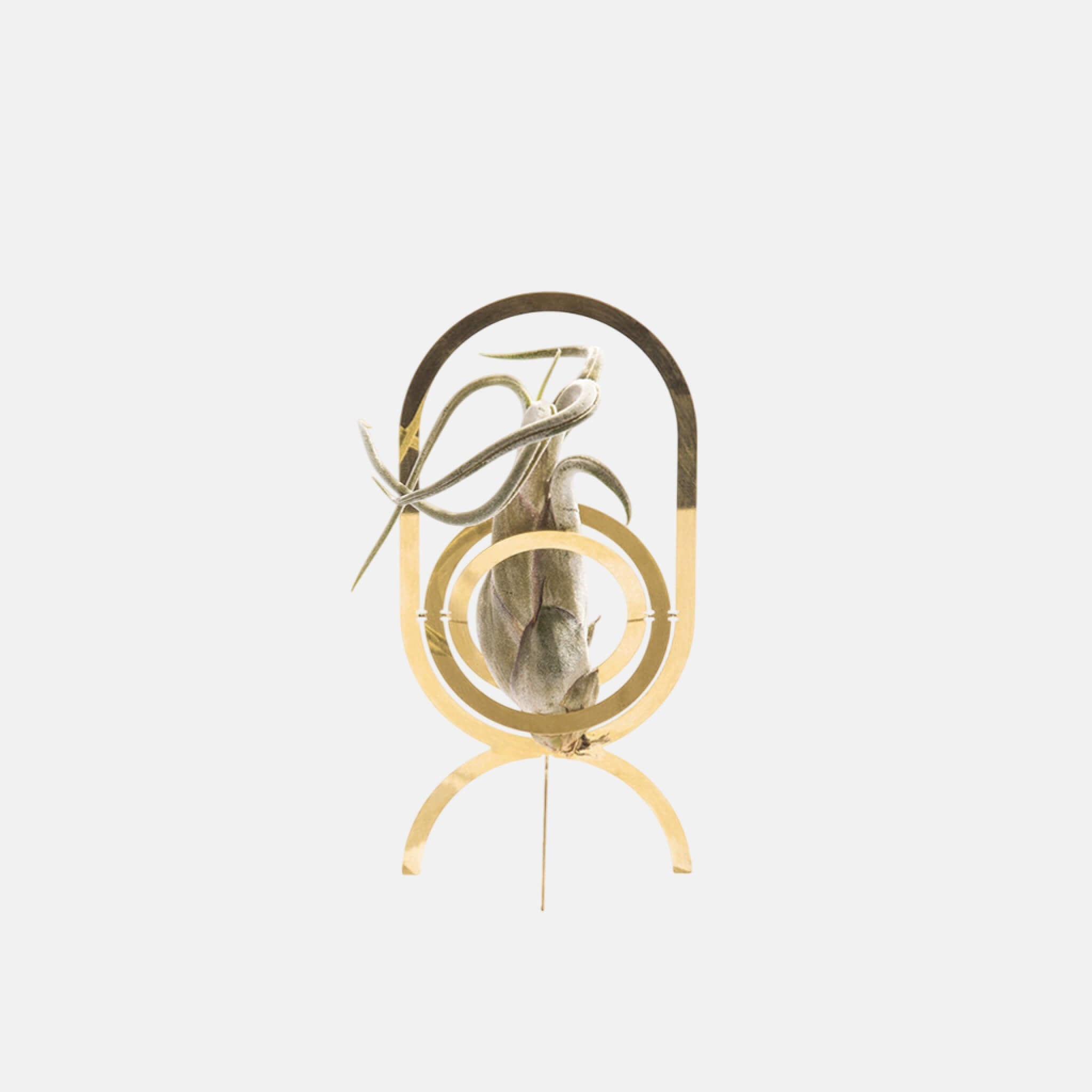 Fundamental Berlin Air Trophy Plant Stand