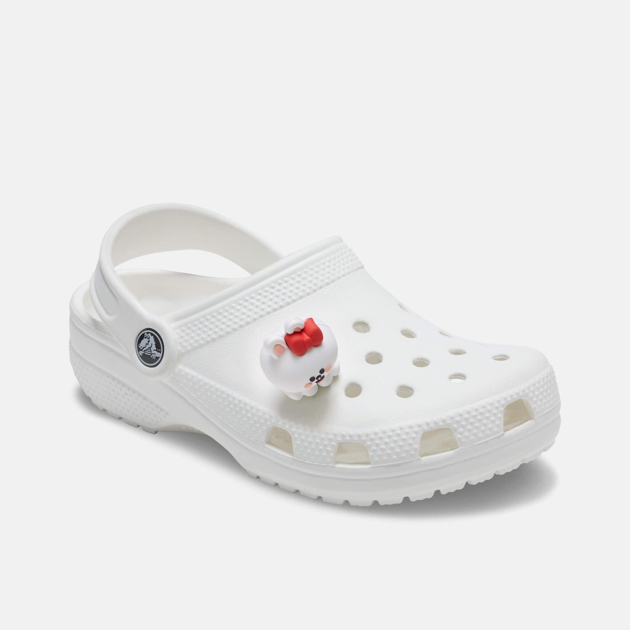 Przypinka Jibbitz – Line Friends